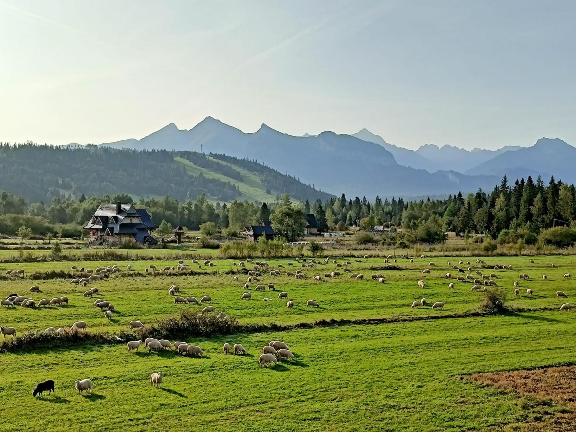Domek Z Goralska Dusza Sleboda Юргув Экстерьер фото